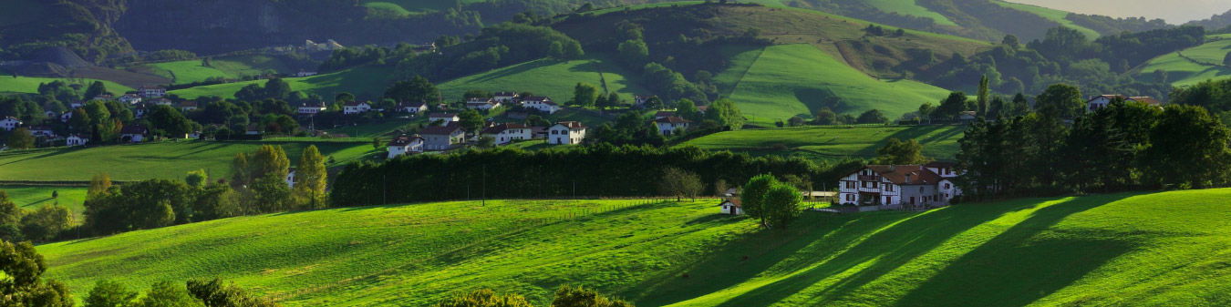 Zone blanche :  comment assurer la continuité du service public ?