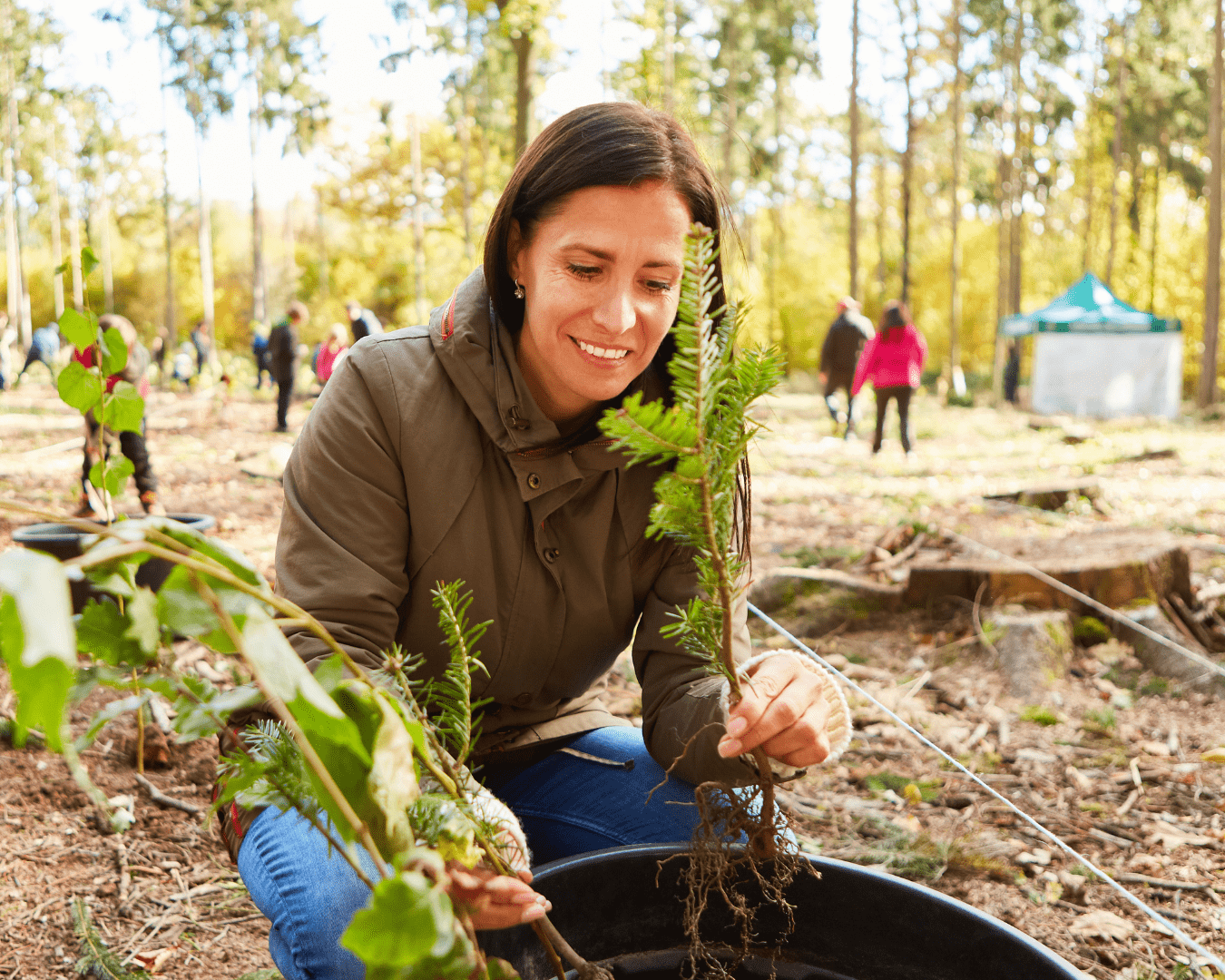 Le budget vert des collectivités