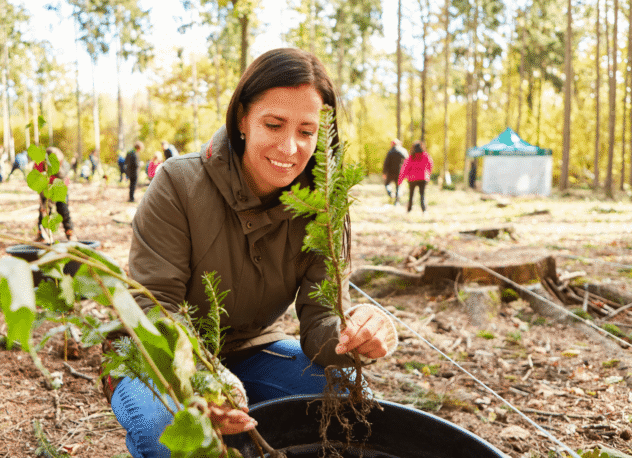 Le budget vert des collectivités