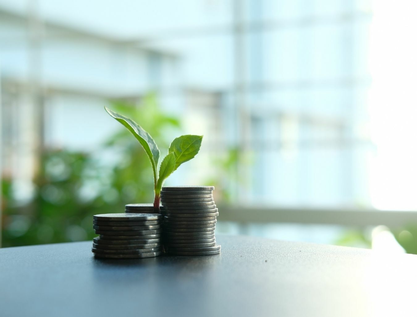 Le budget vert pour le secteur public