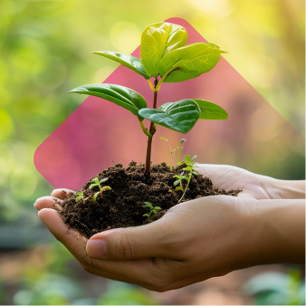 Une consommation et une production responsable